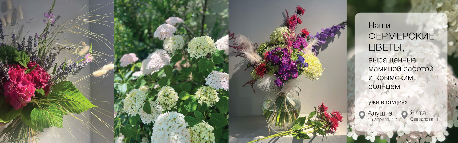 Доставка цветов Ялта Алушта 24/7, Купить цветы интернет магазин Феерия